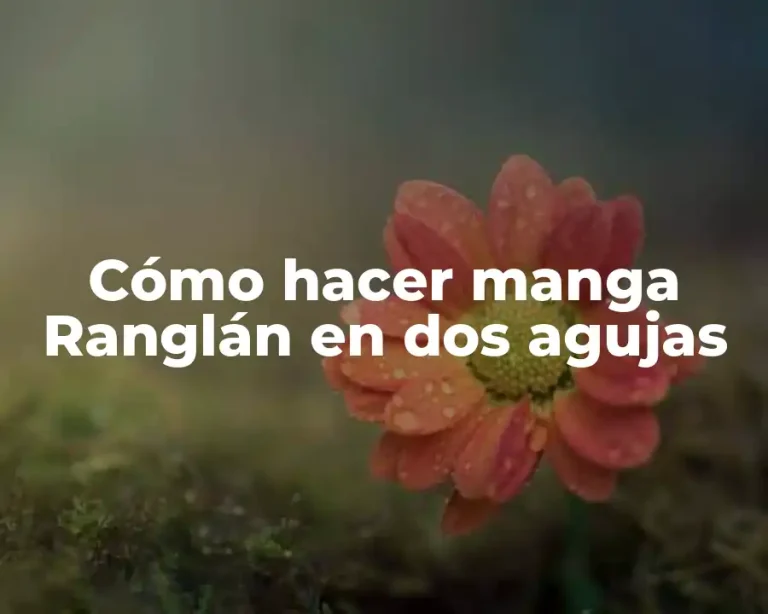 Cómo hacer manga Ranglán en dos agujas