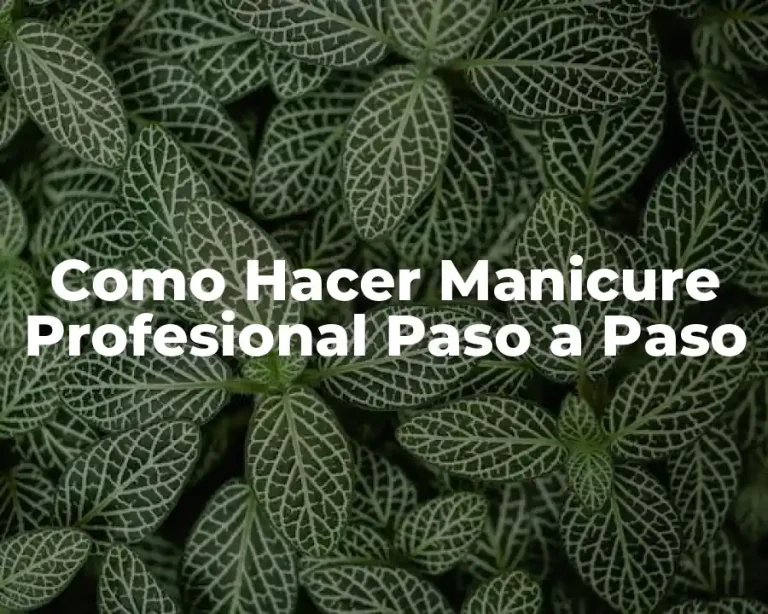 Como Hacer Manicure Profesional Paso a Paso