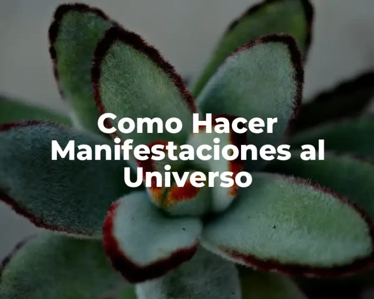 Como Hacer Manifestaciones al Universo