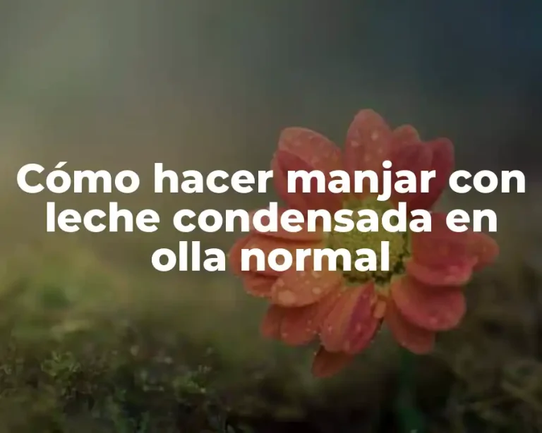 Cómo hacer manjar con leche condensada en olla normal