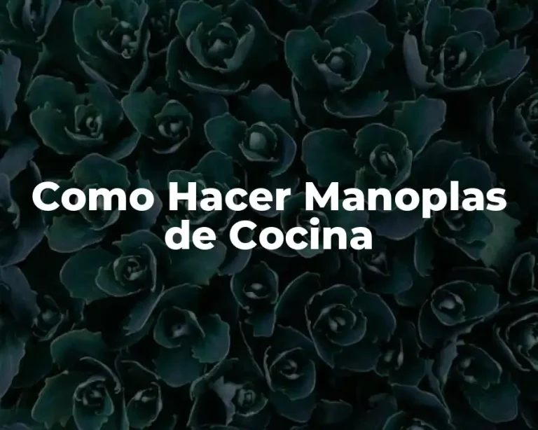 Como Hacer Manoplas de Cocina