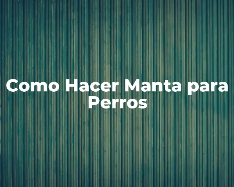 Como Hacer Manta para Perros