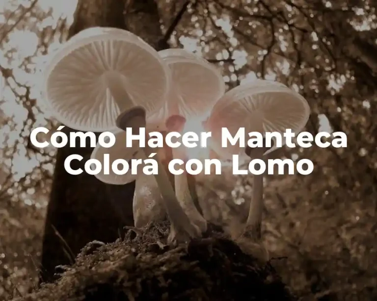Cómo Hacer Manteca Colorá con Lomo