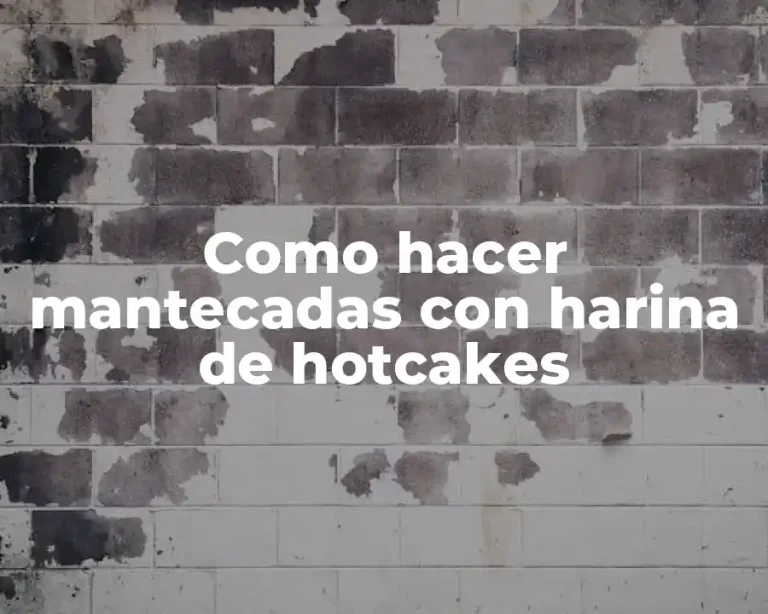 Como hacer mantecadas con harina de hotcakes