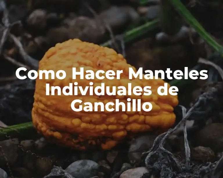 Como Hacer Manteles Individuales de Ganchillo