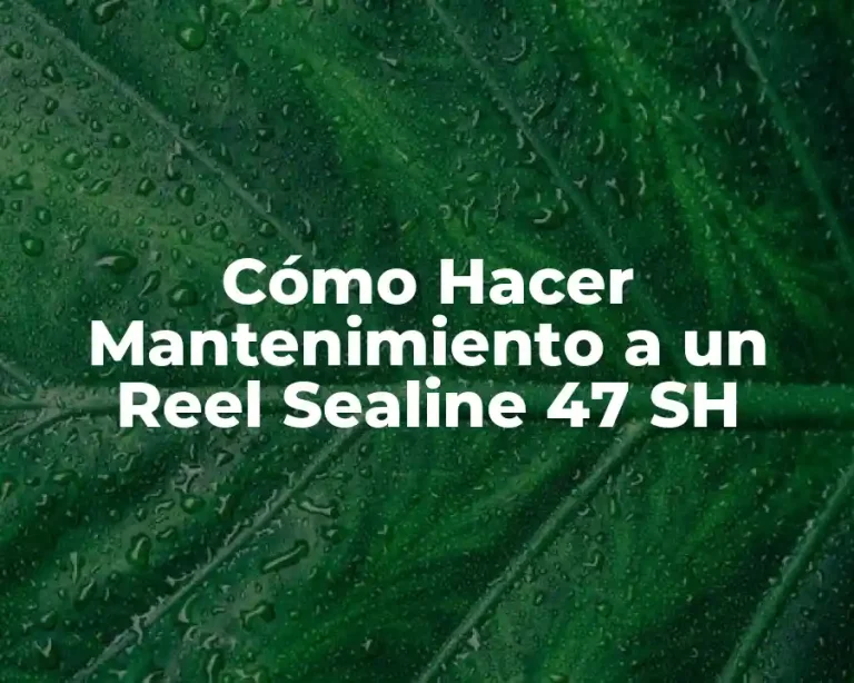Cómo Hacer Mantenimiento a un Reel Sealine 47 SH