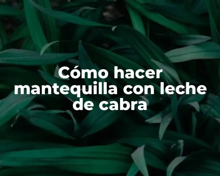 Cómo hacer mantequilla con leche de cabra