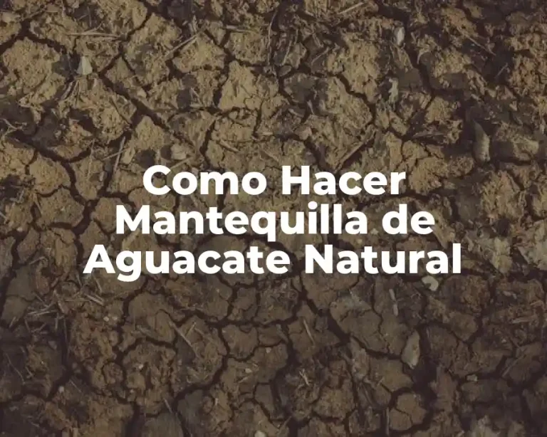 Como Hacer Mantequilla de Aguacate Natural