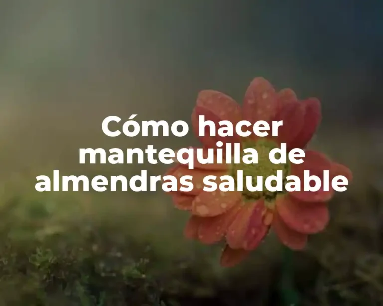 Cómo hacer mantequilla de almendras saludable