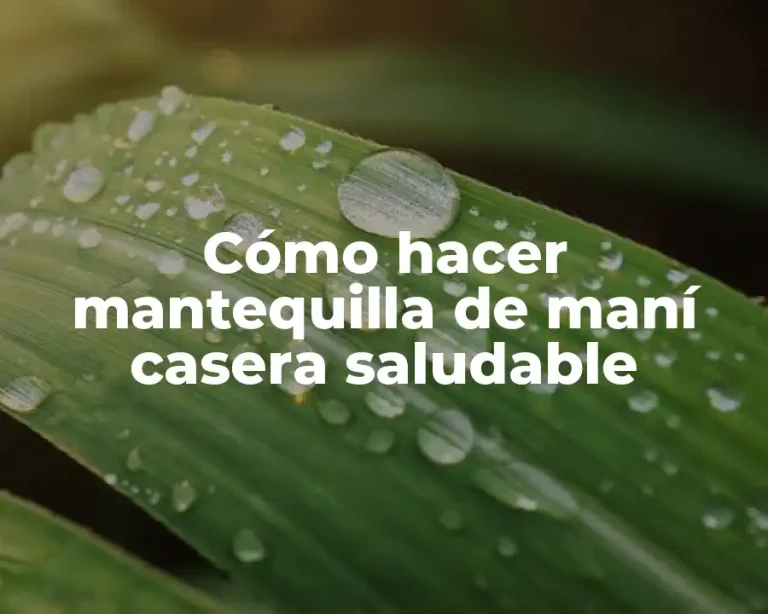 Cómo hacer mantequilla de maní casera saludable