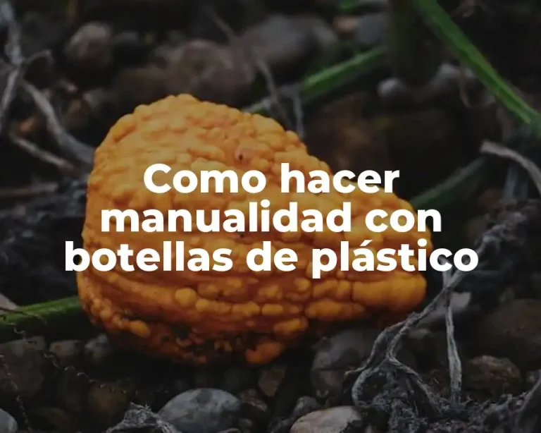 Como hacer manualidad con botellas de plástico