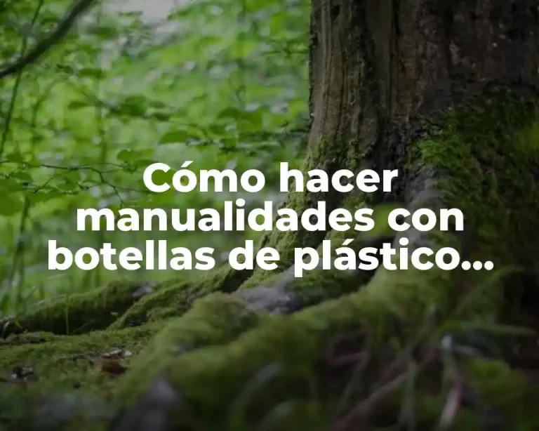 Cómo hacer manualidades con botellas de plástico recicladas