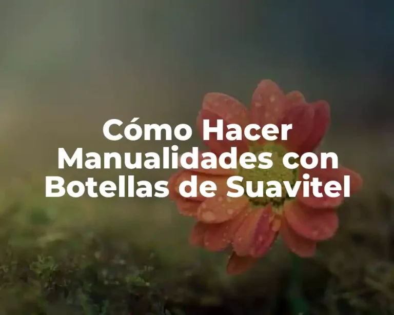 Cómo Hacer Manualidades con Botellas de Suavitel