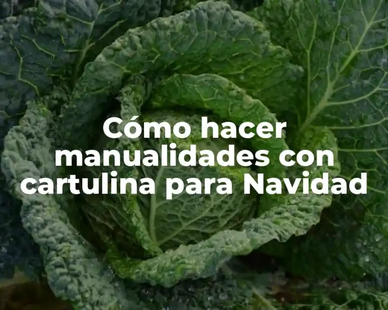 Cómo hacer manualidades con cartulina para Navidad