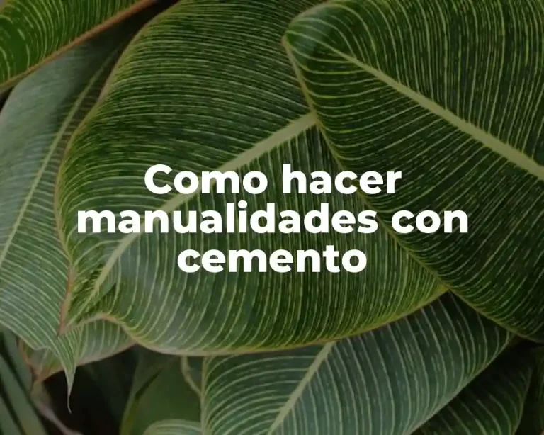 Como hacer manualidades con cemento