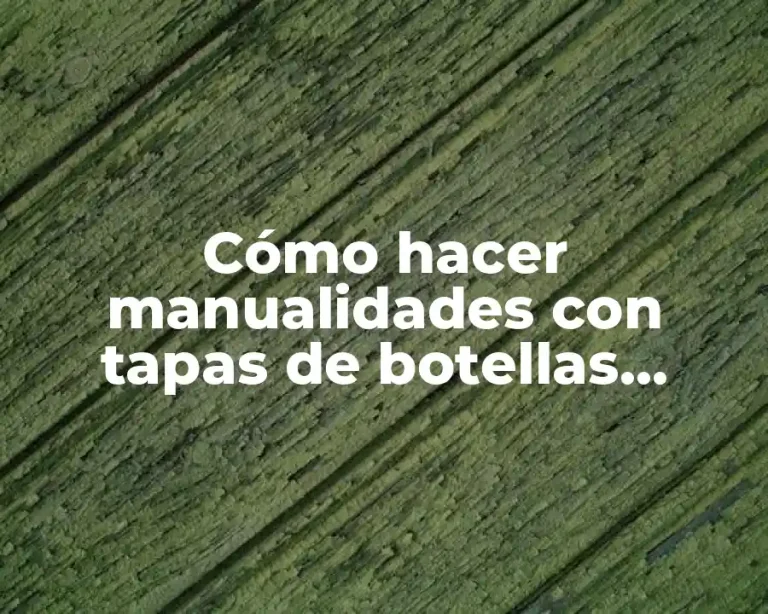 Cómo hacer manualidades con tapas de botellas plásticas