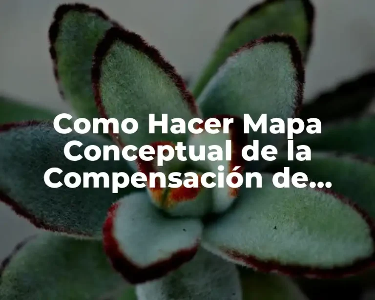 Como Hacer Mapa Conceptual de la Compensación de Cotizaciones