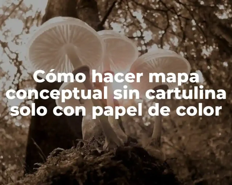Cómo hacer mapa conceptual sin cartulina solo con papel de color