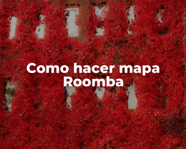Como hacer mapa Roomba