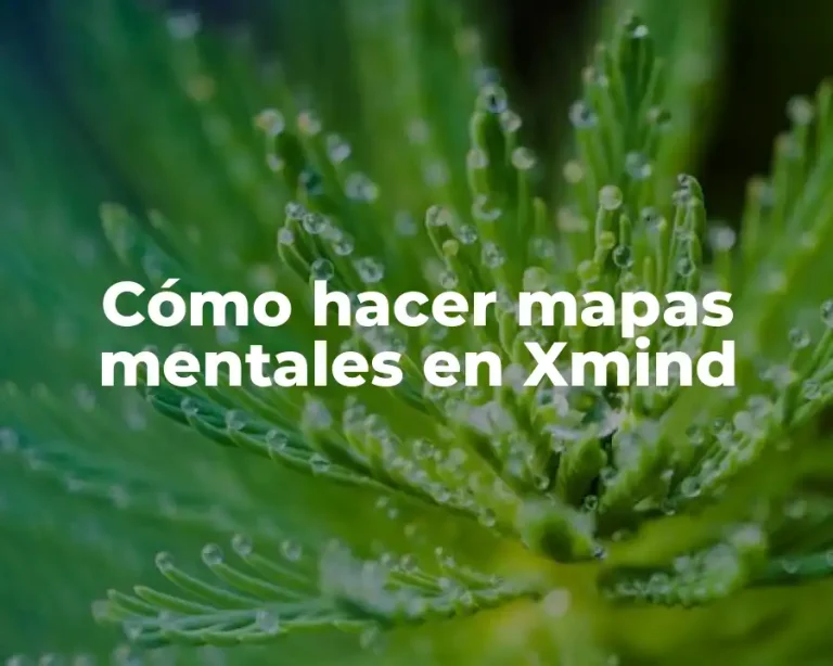 Cómo hacer mapas mentales en Xmind