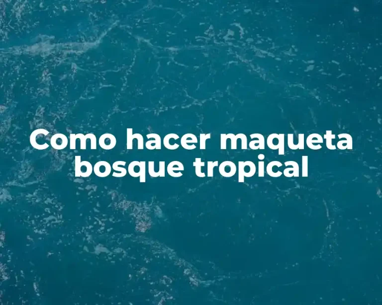 Como hacer maqueta bosque tropical