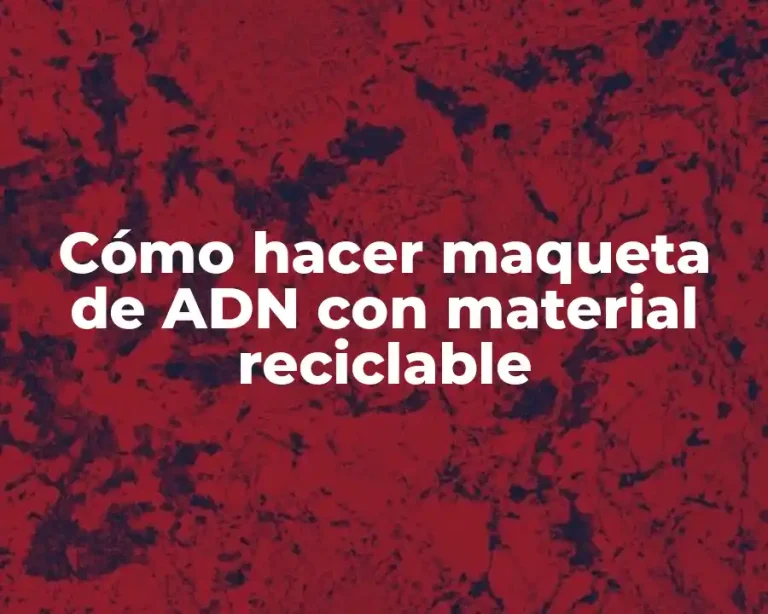 Cómo hacer maqueta de ADN con material reciclable