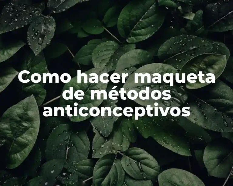 Como hacer maqueta de métodos anticonceptivos