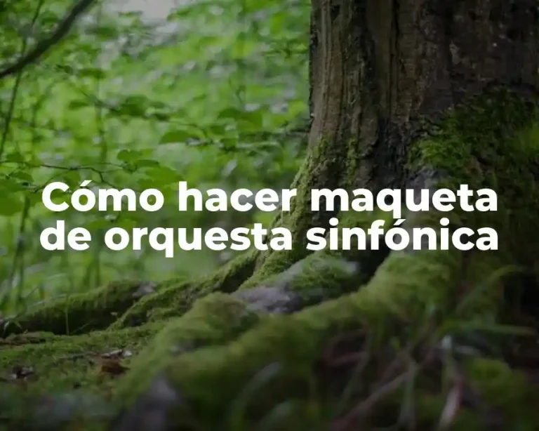 Cómo hacer maqueta de orquesta sinfónica