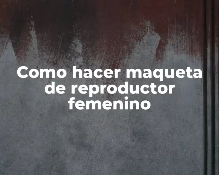 Como hacer maqueta de reproductor femenino