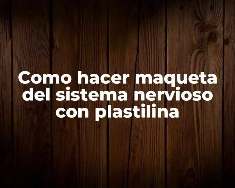 Como hacer maqueta del sistema nervioso con plastilina