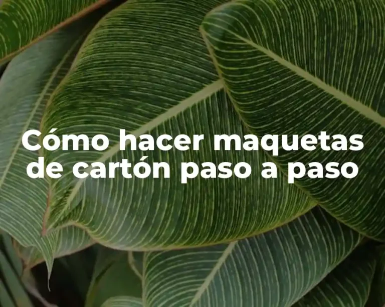 Cómo hacer maquetas de cartón paso a paso