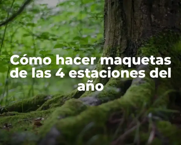 Cómo hacer maquetas de las 4 estaciones del año