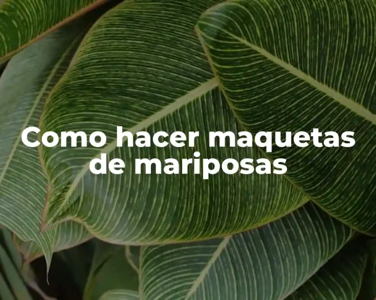 Como hacer maquetas de mariposas