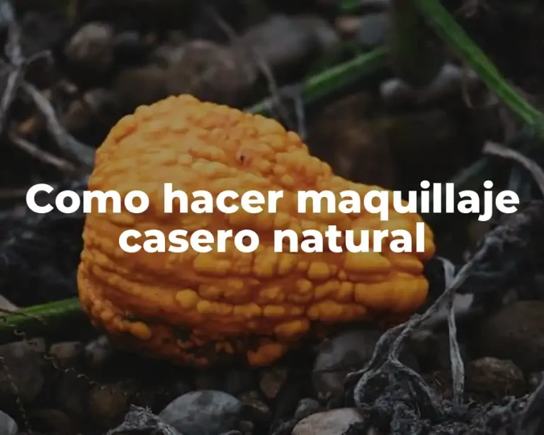 Como hacer maquillaje casero natural