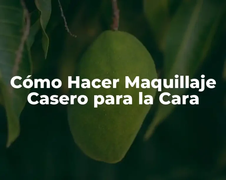 Cómo Hacer Maquillaje Casero para la Cara