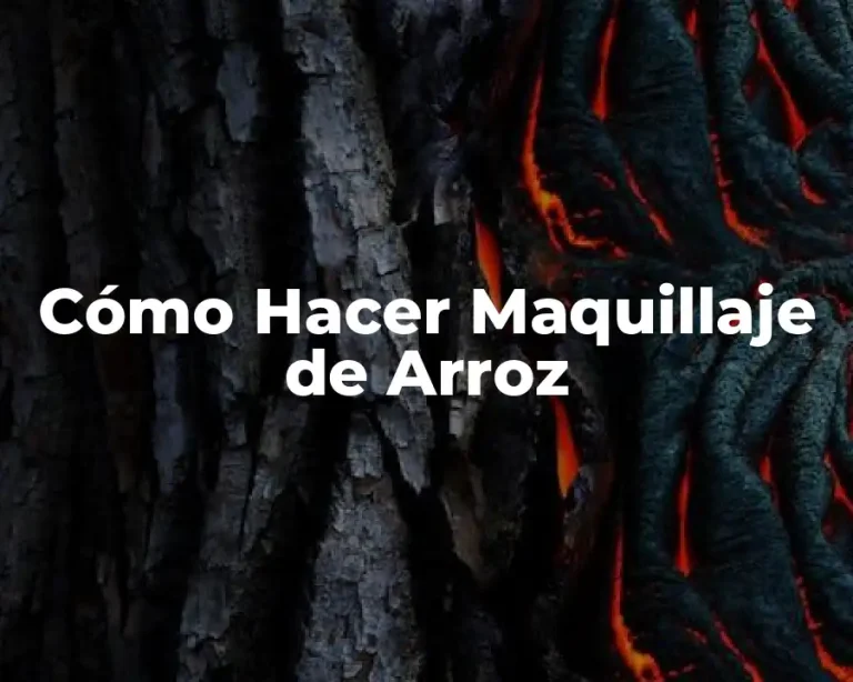 Cómo Hacer Maquillaje de Arroz