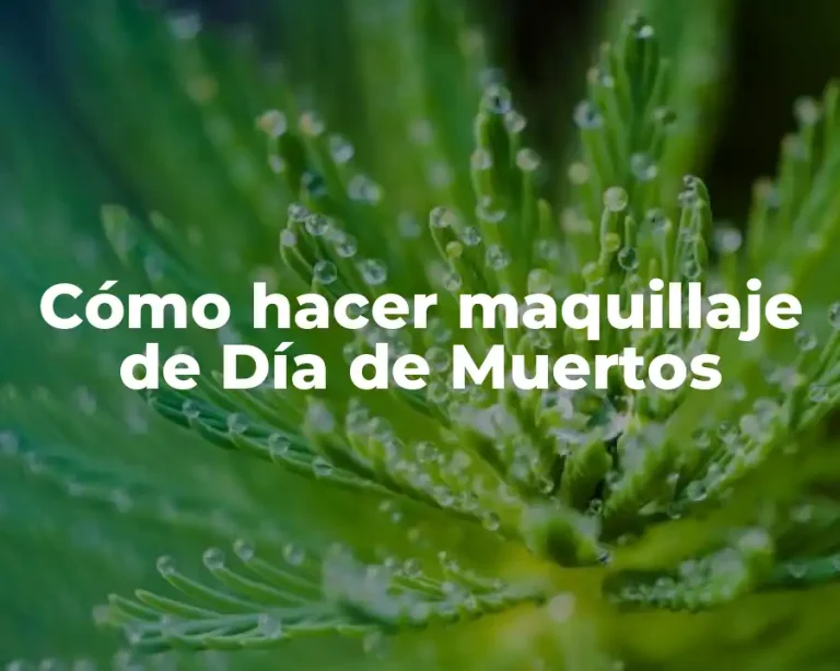 Cómo hacer maquillaje de Día de Muertos