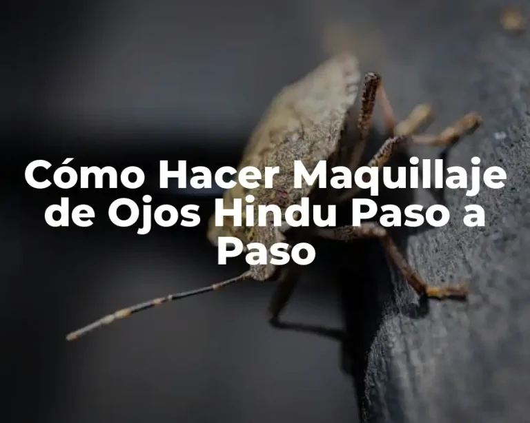 Cómo Hacer Maquillaje de Ojos Hindu Paso a Paso