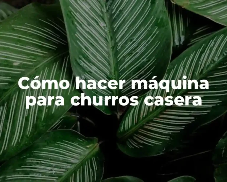 Cómo hacer máquina para churros casera