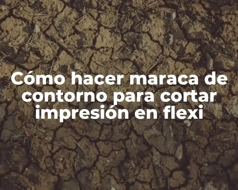 Cómo hacer maraca de contorno para cortar impresión en flexi