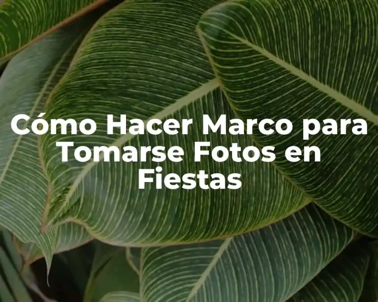 Cómo Hacer Marco para Tomarse Fotos en Fiestas