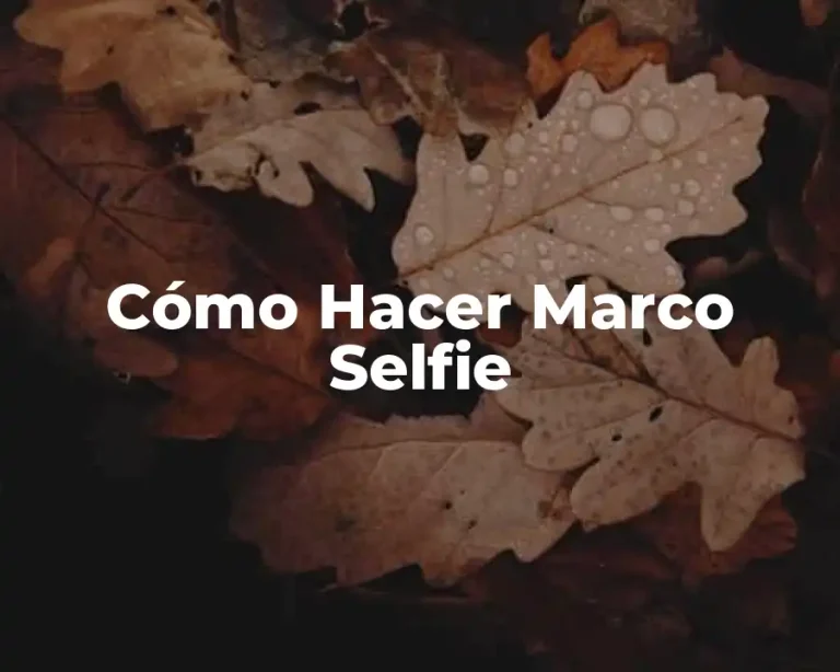 Cómo Hacer Marco Selfie