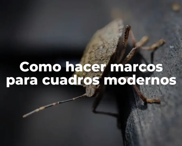 Como hacer marcos para cuadros modernos