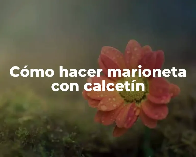Cómo hacer marioneta con calcetín