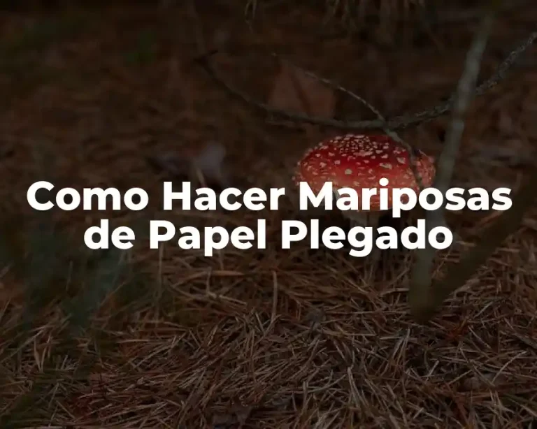 Como Hacer Mariposas de Papel Plegado