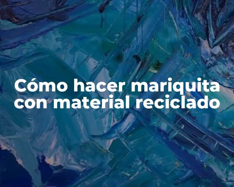 Cómo hacer mariquita con material reciclado