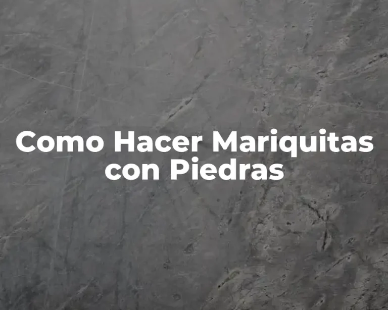 Como Hacer Mariquitas con Piedras