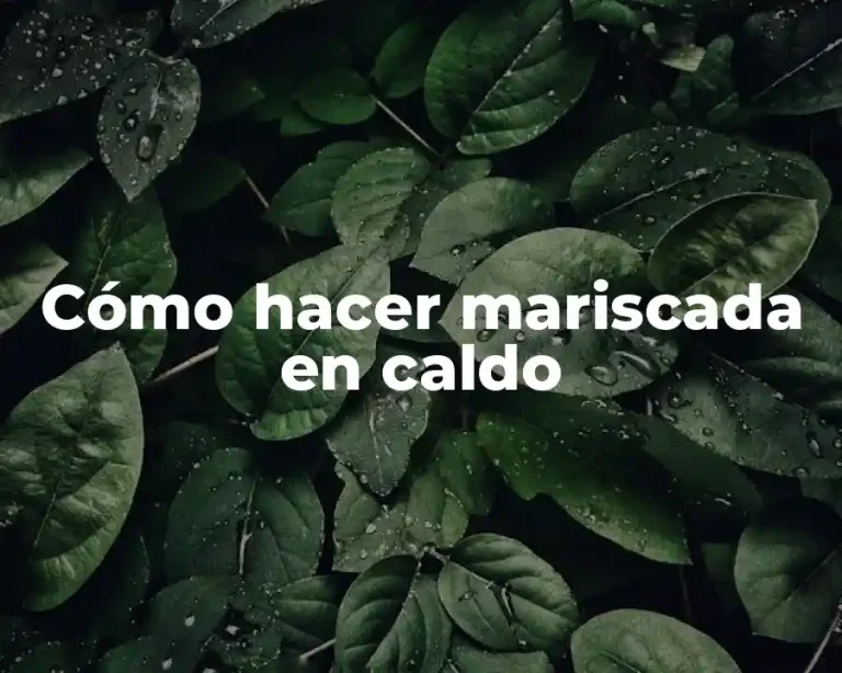 Cómo hacer mariscada en caldo