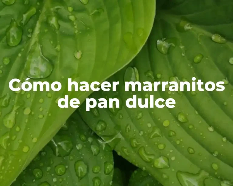 Cómo hacer marranitos de pan dulce