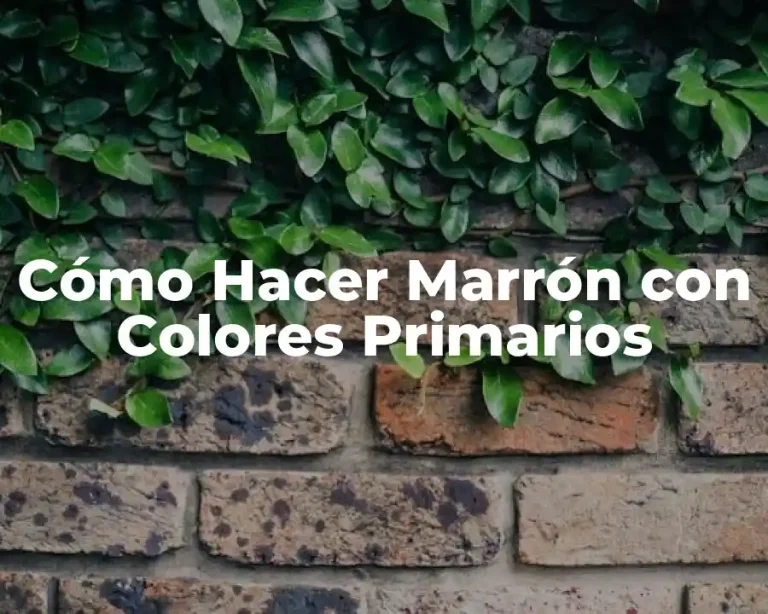 Cómo Hacer Marrón con Colores Primarios